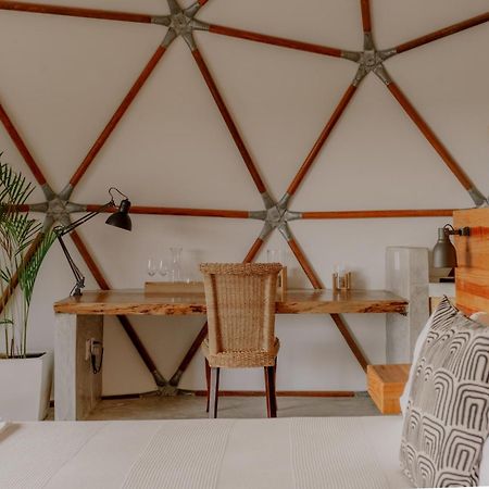 La Poza Boutique Hotel And Spa - Adults 15 Plus トドス・サントス エクステリア 写真
