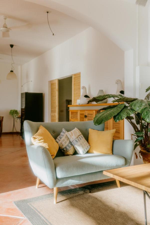 La Poza Boutique Hotel And Spa - Adults 15 Plus トドス・サントス エクステリア 写真