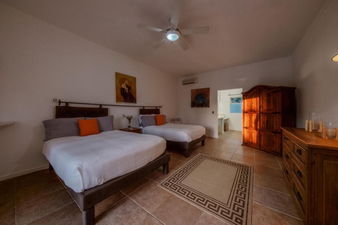 La Poza Boutique Hotel And Spa - Adults 15 Plus トドス・サントス エクステリア 写真