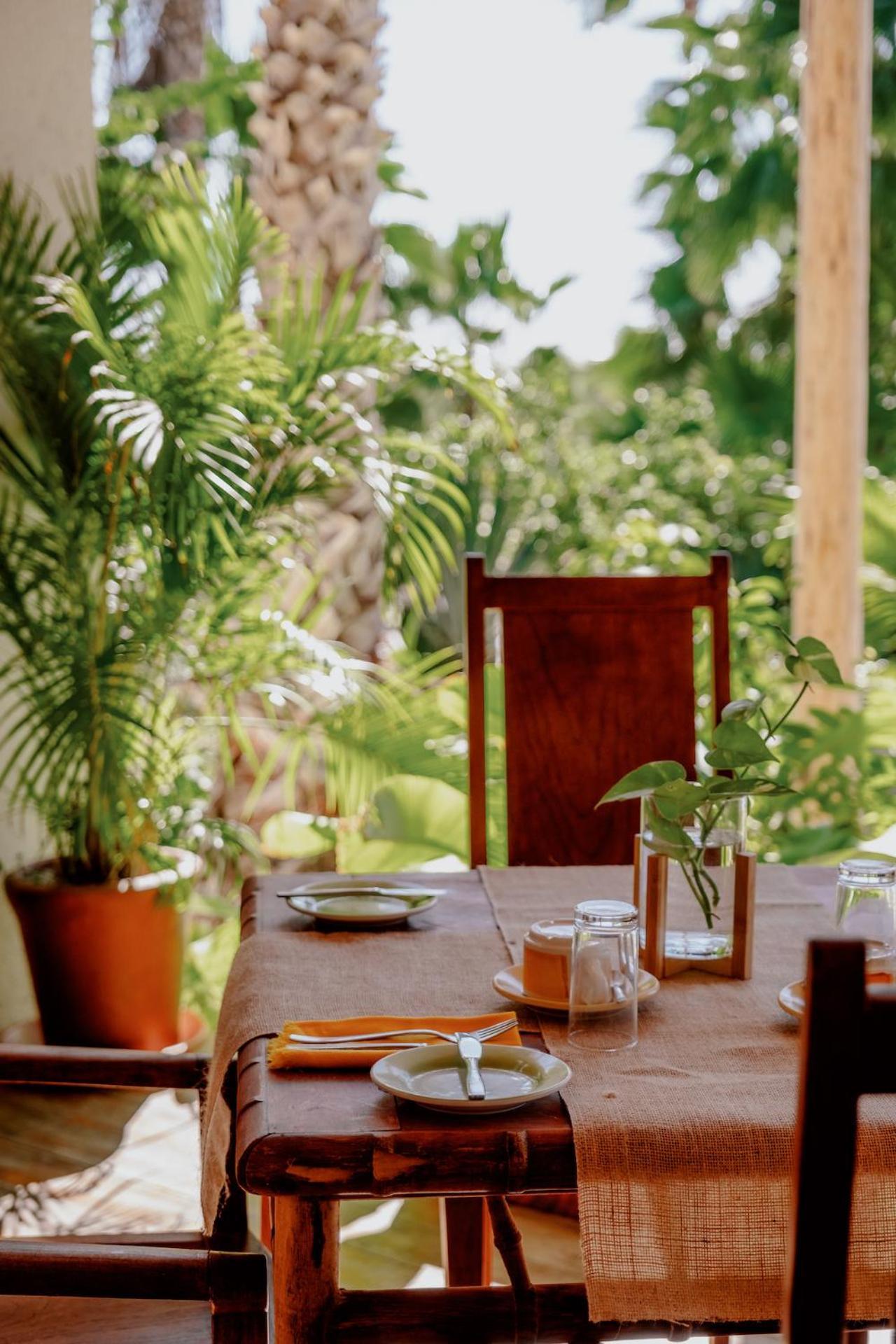La Poza Boutique Hotel And Spa - Adults 15 Plus トドス・サントス エクステリア 写真