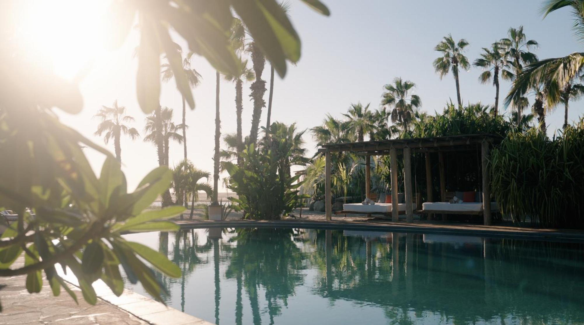 La Poza Boutique Hotel And Spa - Adults 15 Plus トドス・サントス エクステリア 写真