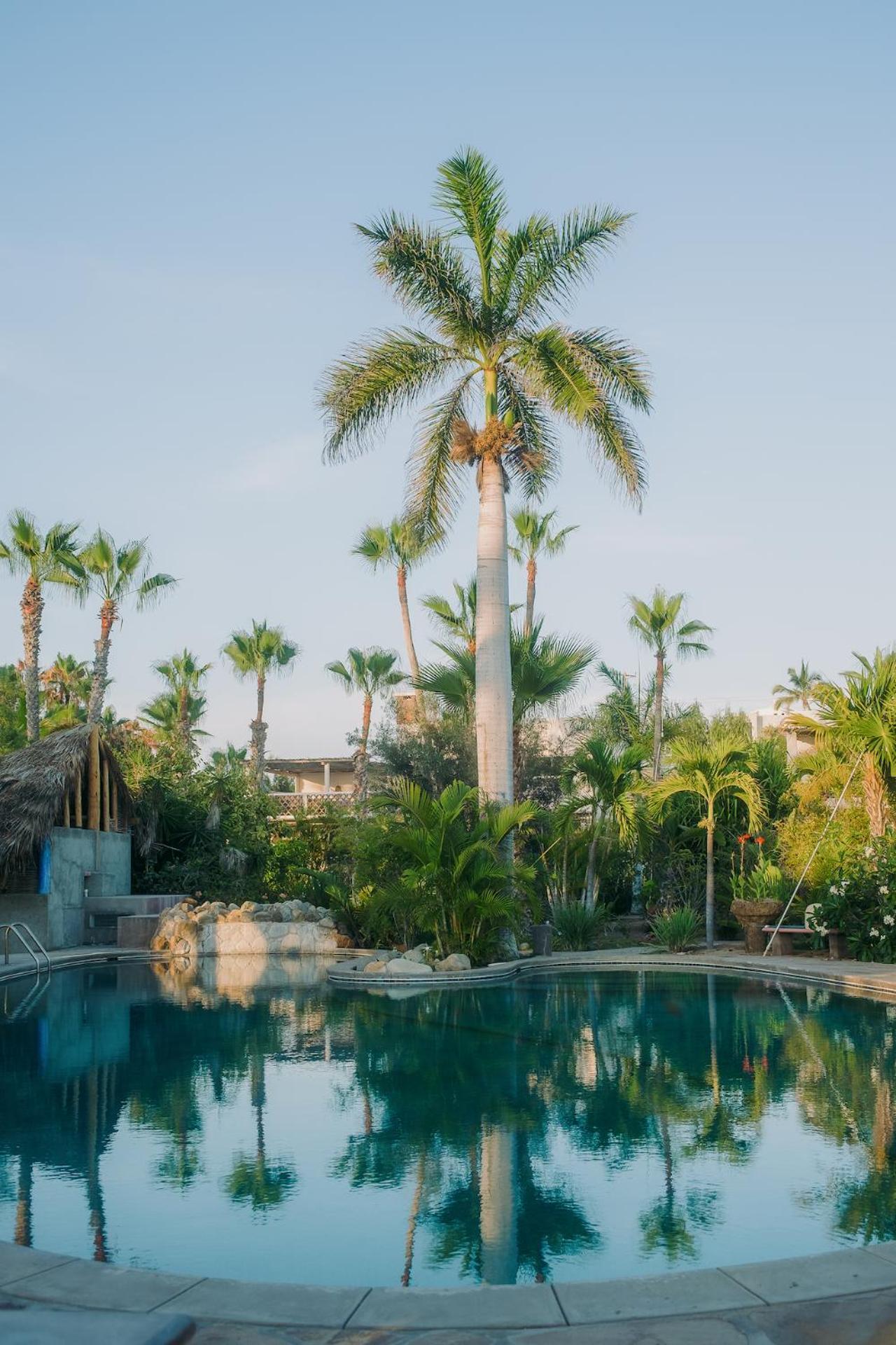 La Poza Boutique Hotel And Spa - Adults 15 Plus トドス・サントス エクステリア 写真