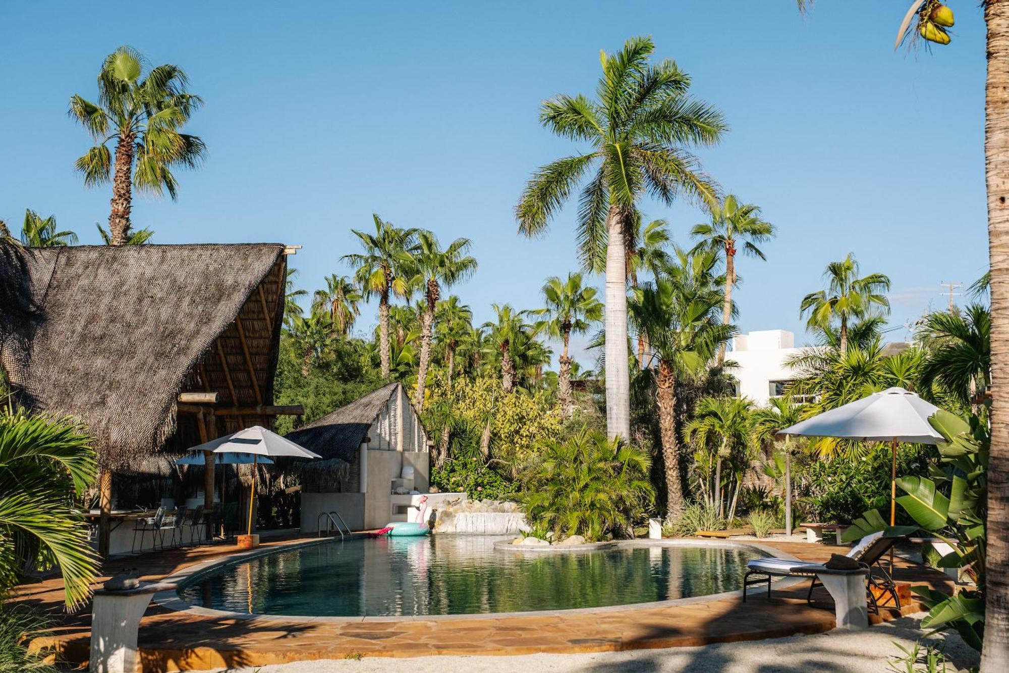 La Poza Boutique Hotel And Spa - Adults 15 Plus トドス・サントス エクステリア 写真