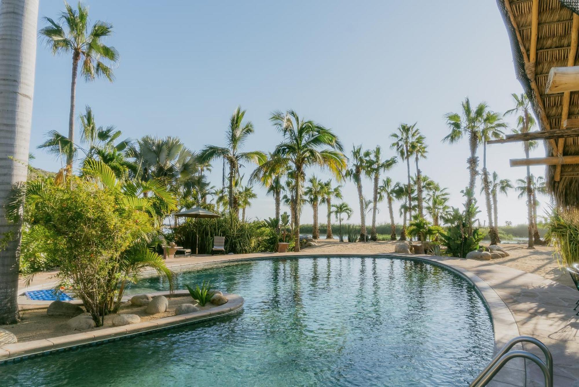 La Poza Boutique Hotel And Spa - Adults 15 Plus トドス・サントス エクステリア 写真